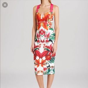 Ted baker midi dress